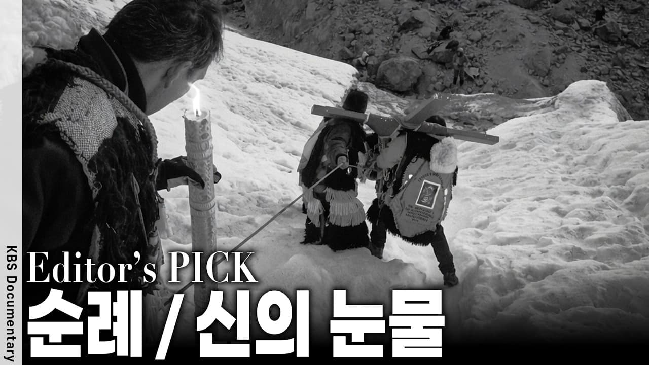 산소 부족... 나귀마저 쓰러지는 해발 5,200m 안데스 만년설, 이들이 한겨울에 지옥 같은 고행길을 자처하는 이유
