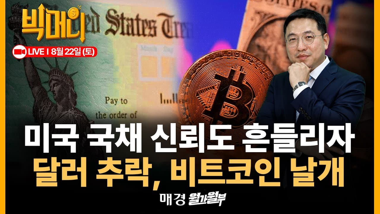 [문지웅의 빅머니 LIVE] 미국 국채, 달러 가치와 반대로 움직이는 비트코인과 Gold. 연준의 단기국채 보유 증가는 어떻게 봐야할까.