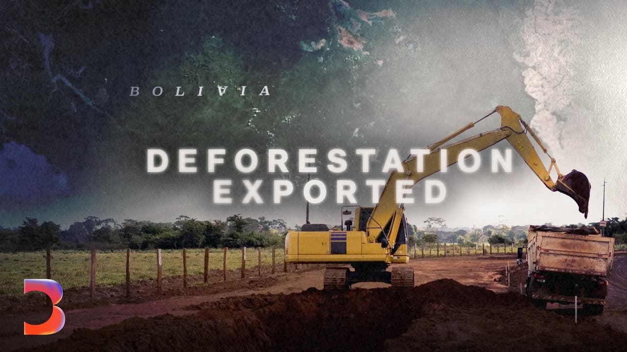 The Deal That May Reshape the Amazon''s Future