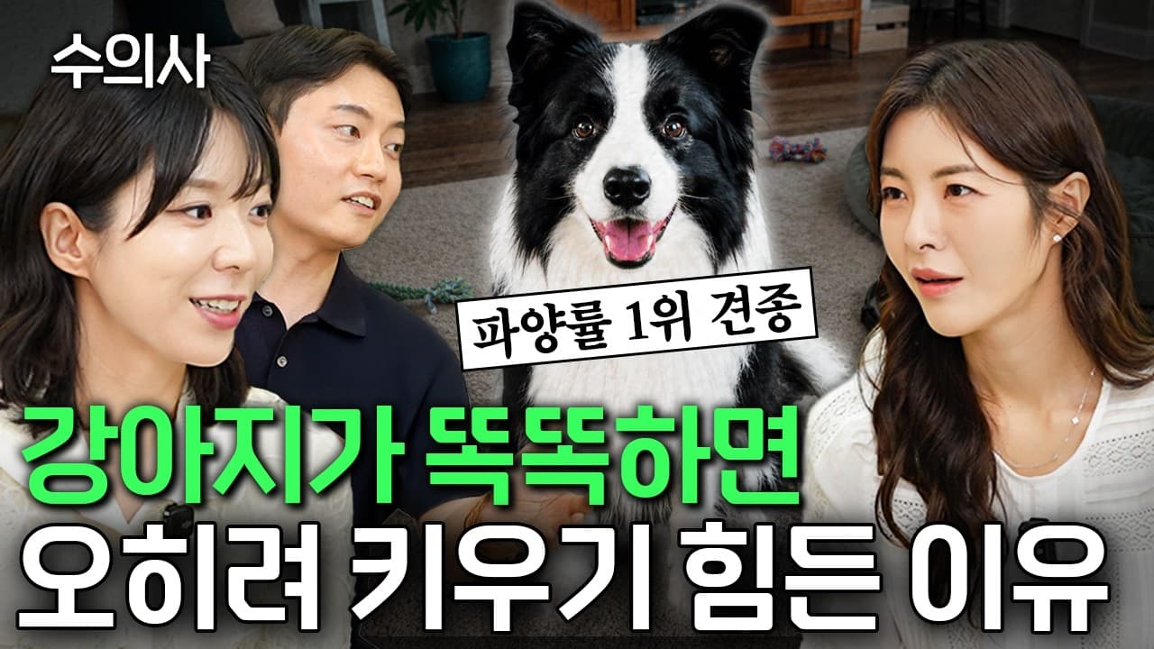 수의사가 친구가 키운다고 하면 말리는 견종 1위ㅣ성수동 지식클럽 EP.5
