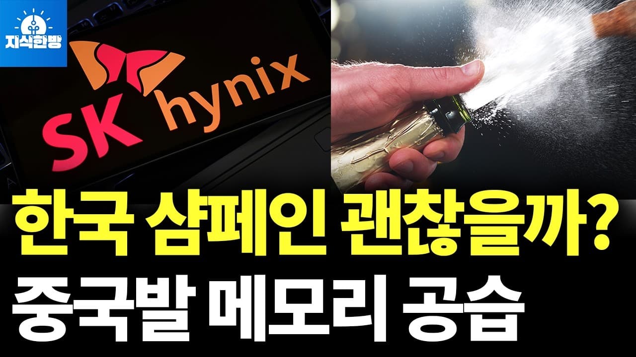 중국 메모리의 무서운 성장, 3년만에 1%가 10%됐다 (박종훈의 지식한방)