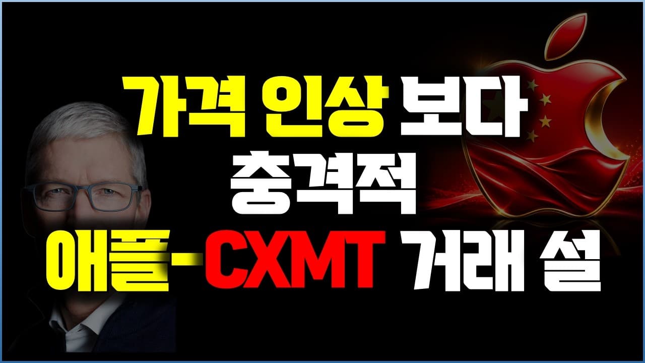 애플 가격 인상보다 적…중국산 D램, CXMT는 정말 대안이 될까?