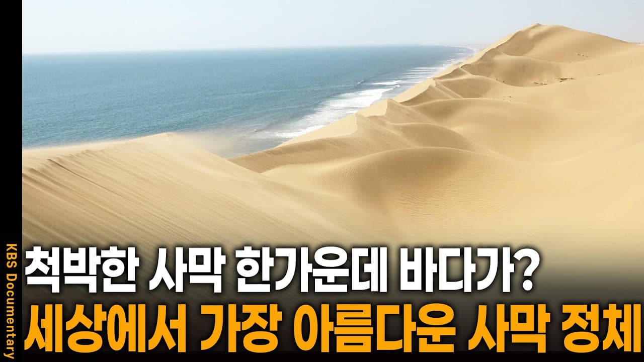 사막과 바다가 만나는 비현실적인 풍경이.. 세상에서 가장 아름다운 사막의 정체
