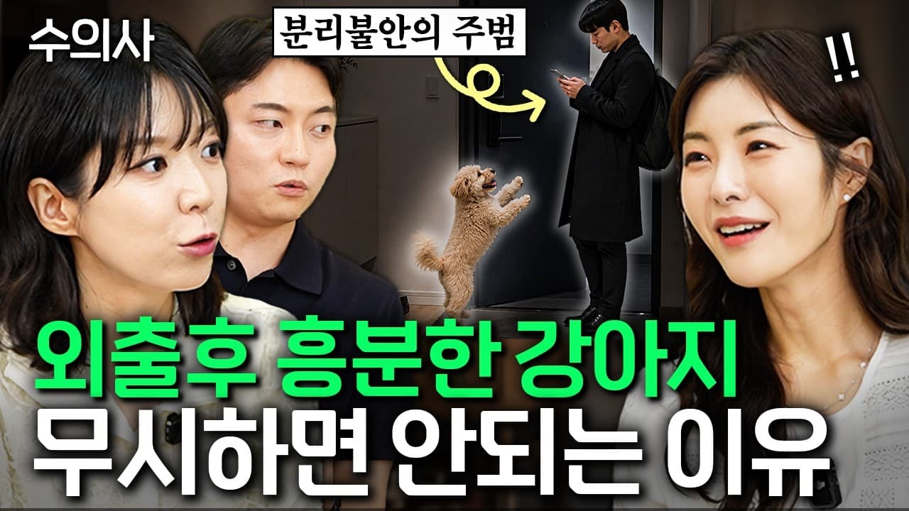 격하게 반기는 강아지 분리불안 아닙니다ㅣ성수동 지식클럽 EP.4