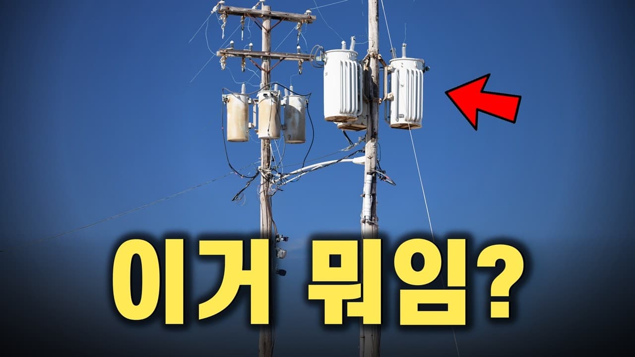 전봇대 위 쓰레기통? 깡통? 정체