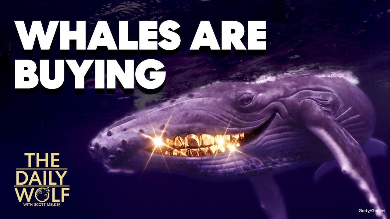 Everyone is selling. Whales aren''t.