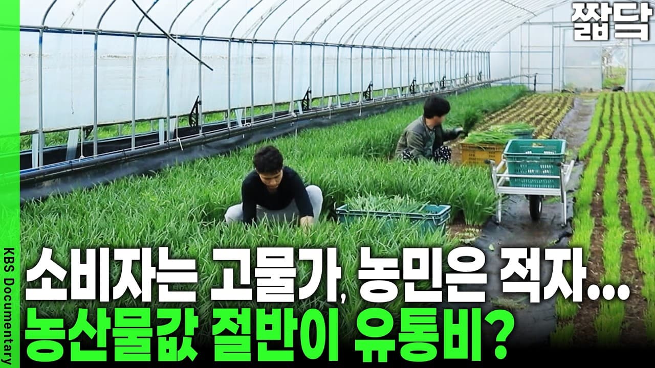 200km 달려갔다 다시 내려오는 ''역유통''…지금도 왜 수도권 도매시장을 거칠까?