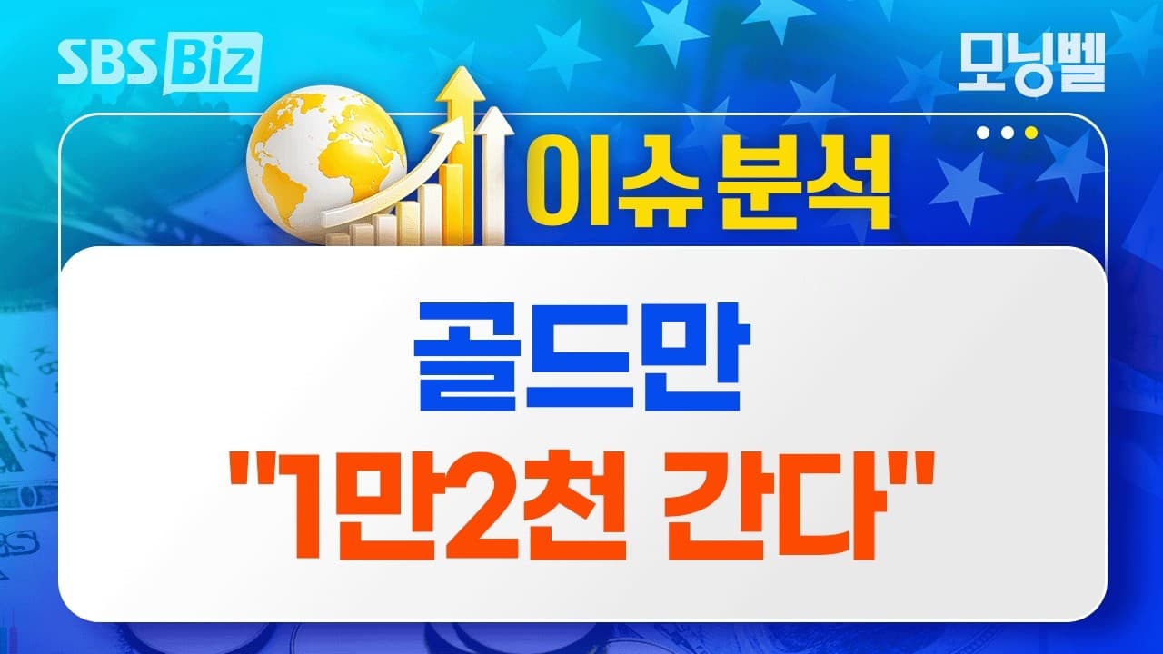 [이슈분석] 골드만 "1만2천 간다