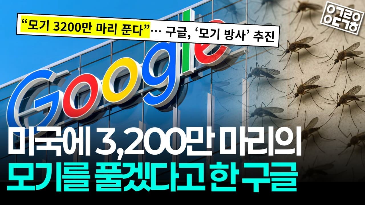 구글이 세균에 감염된 모기 3,200만 마리를 미국에 풀려는 이유