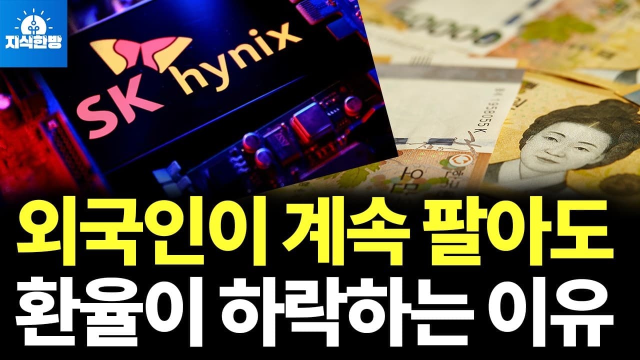 원화 강세의 숨겨진 비밀 (박종훈의 지식한방)