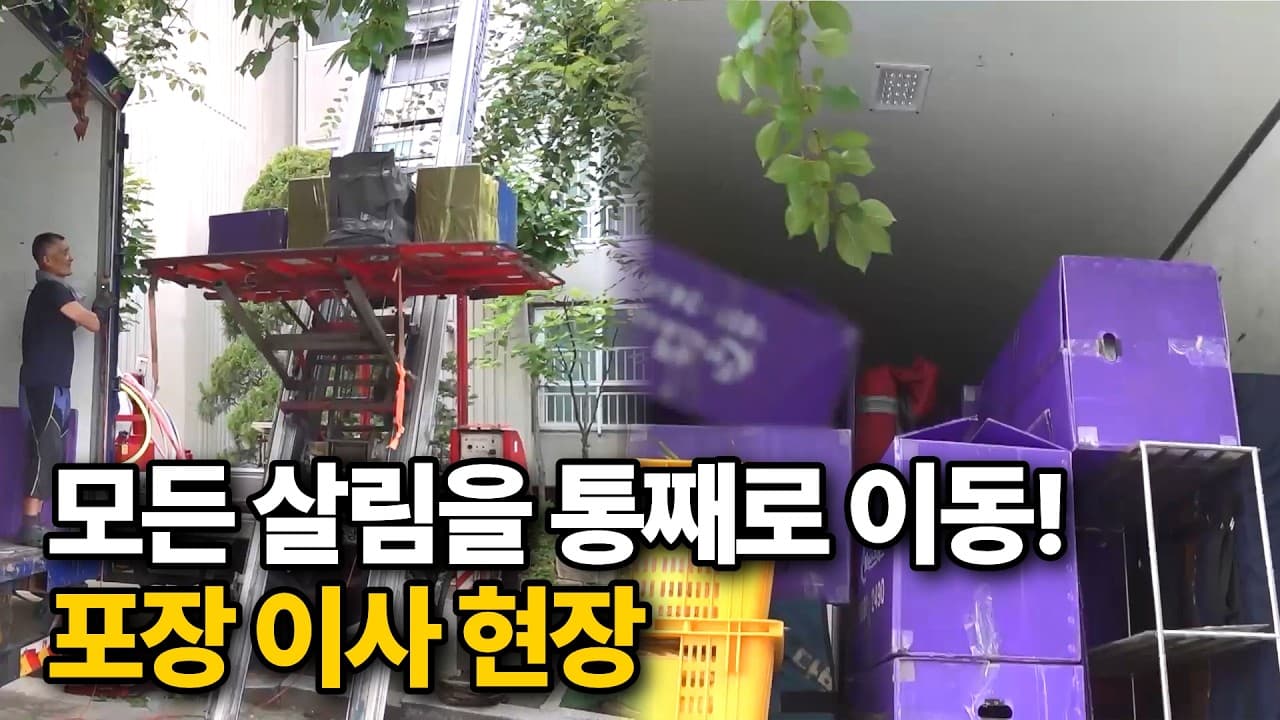집 안의 모든 것을 그대로 옮겨드립니다! 포장 이사 작업 현장
