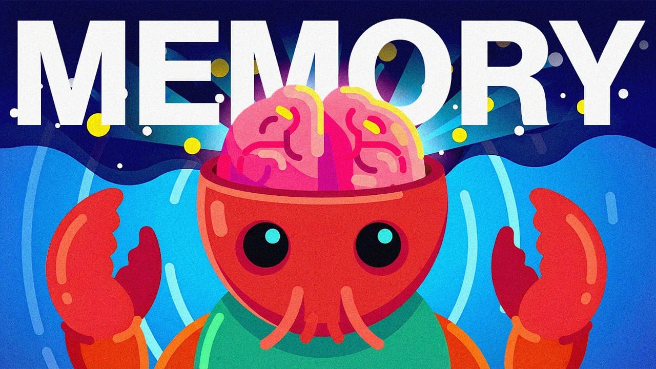 I Fixed OpenClaw''''s Biggest Problem (Memory)