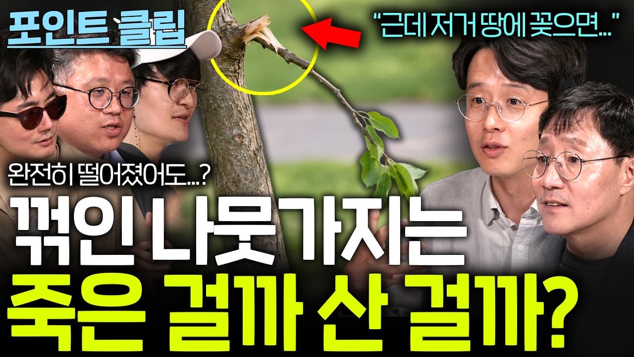완전히 꺾여버린 나뭇가지는 죽은걸까...?