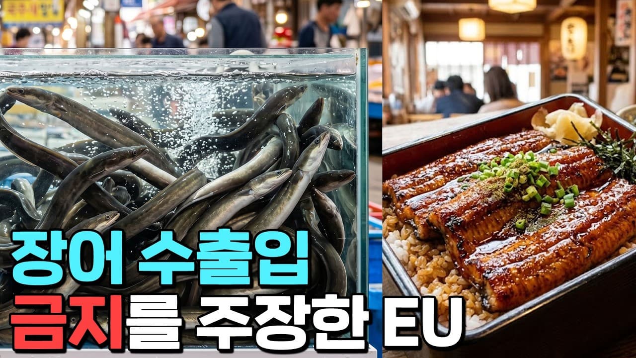 장어 80%를 수입하는 일본 초비상!