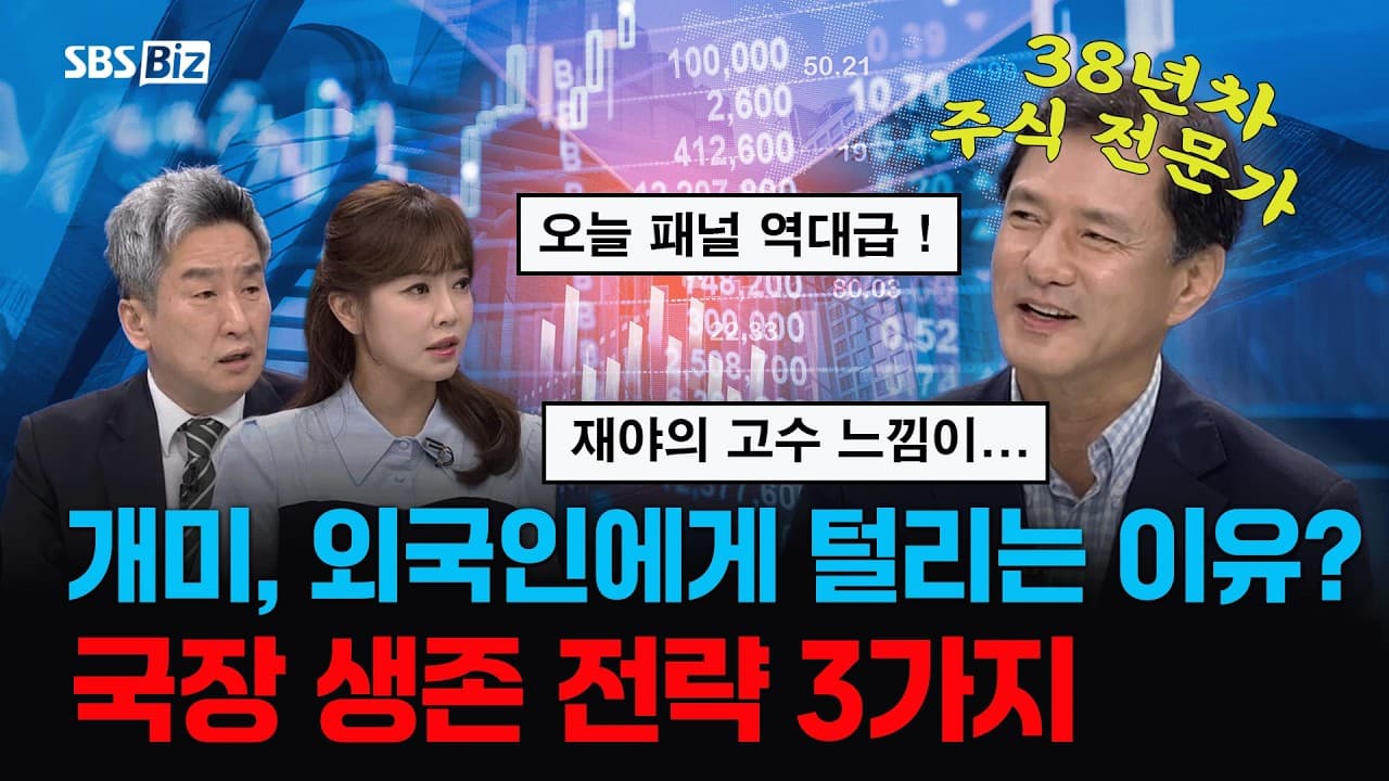 [에디터pick 📌] "레버리지 손절 안하고 보유중, 이유는.." 외국인 놀이터 된 국장 ''이것'' 때문 #레버리지 #주가누르기방지법 #외국인수급 #개미투자자 #기관투자자 #박병호