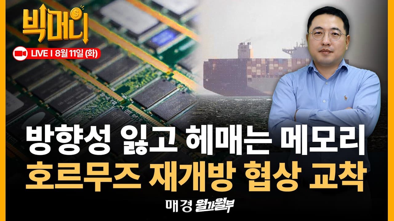 [문지웅의 빅머니 LIVE] 씨티, 모건스탠리, JP모건 메모리 전망 집중 분석