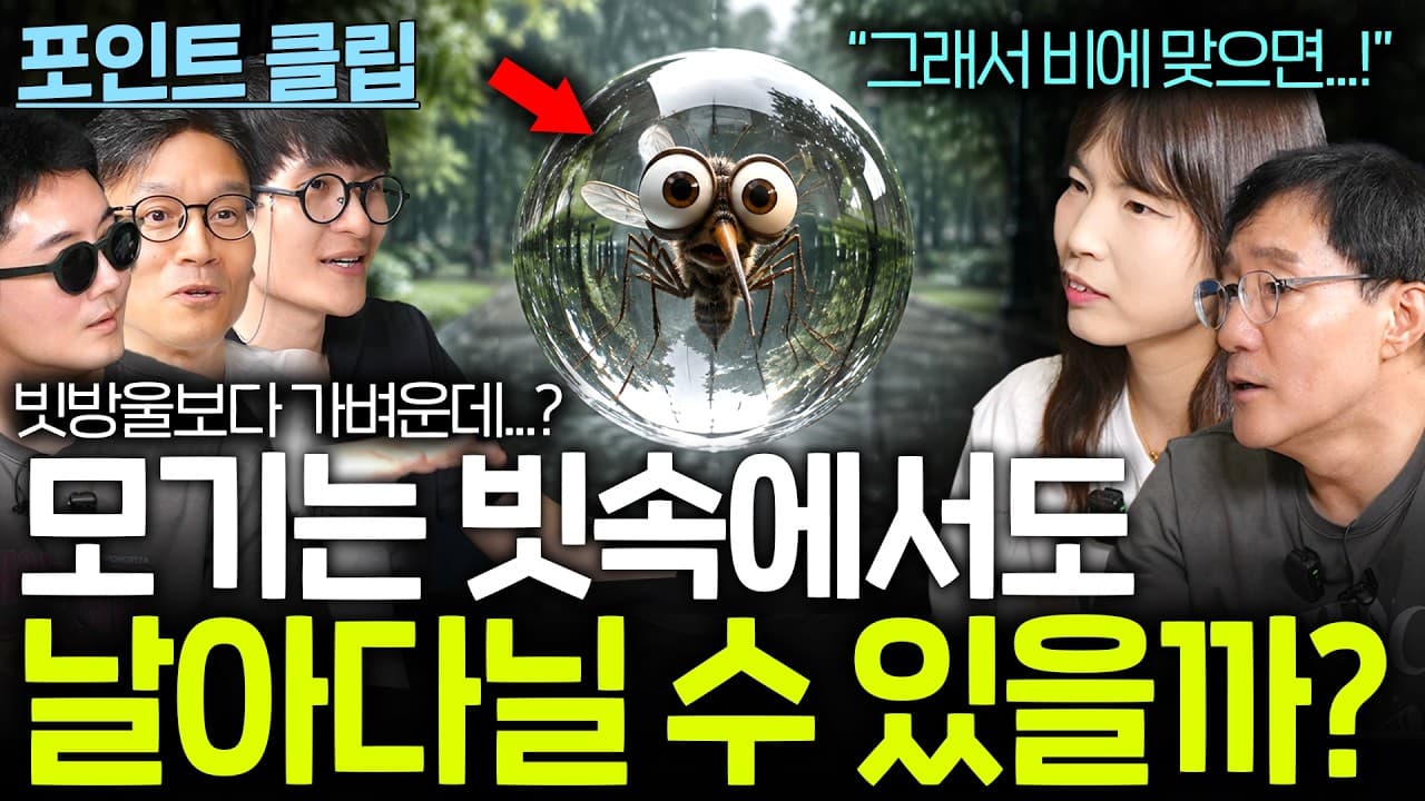 모기는 빗속에서도 날 수 있을까? (빗방울보다 가벼운데?)