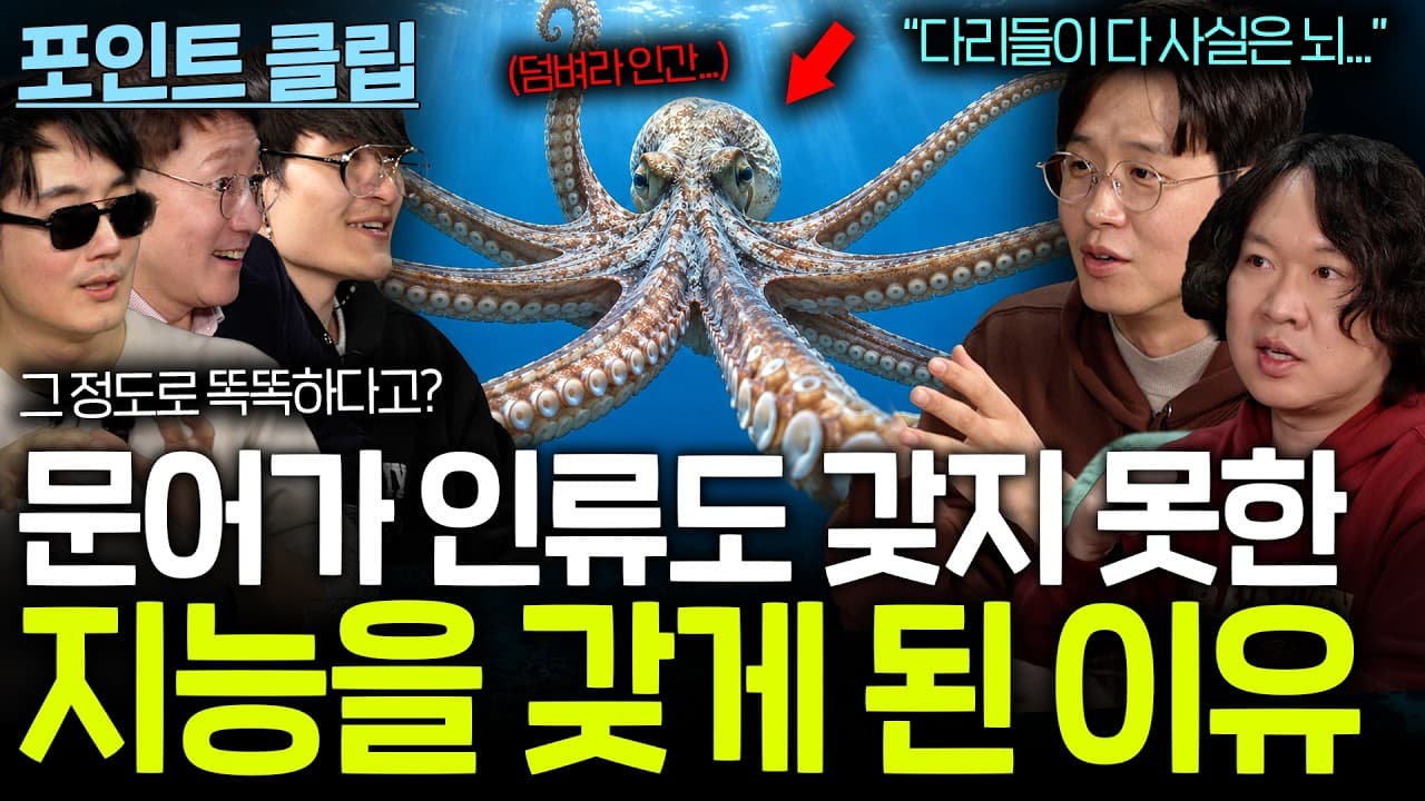 뇌가 총 9개인 문어의 놀라운 지능? (다리가 다 뇌라고..?)