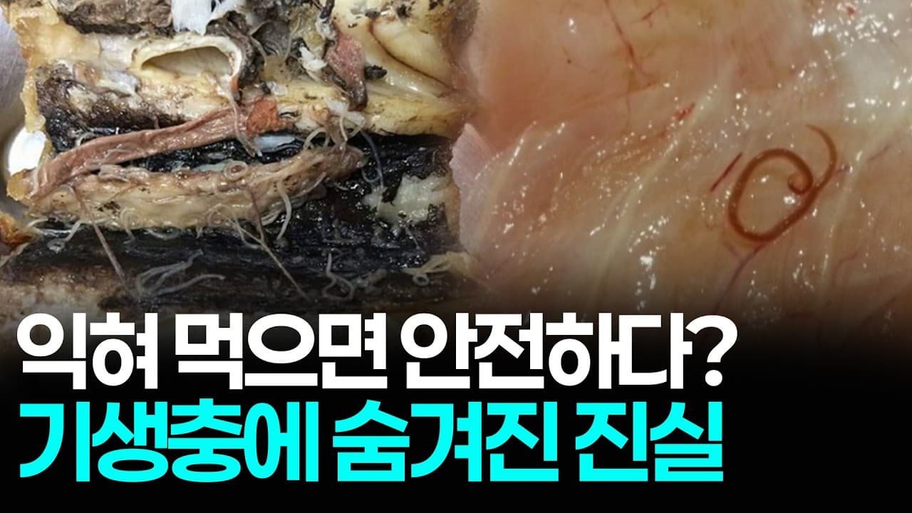 기생충을 통째로 먹으면 우리 몸에서 벌어지는 돋는 일