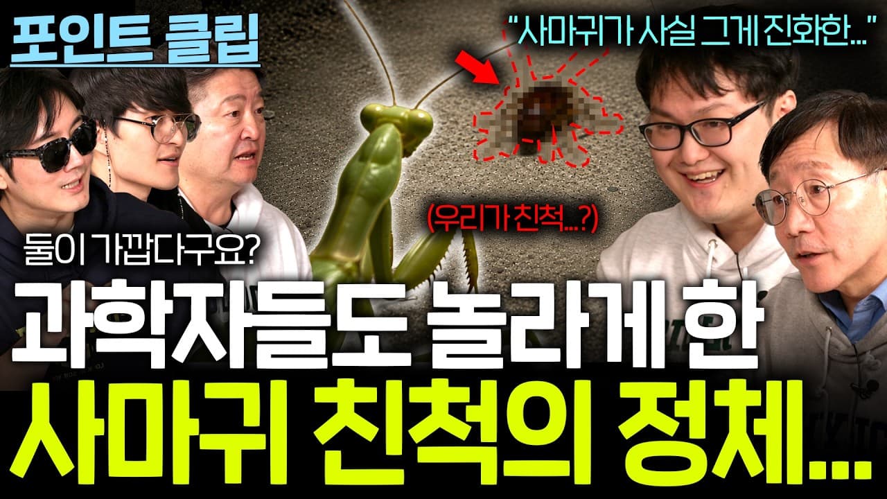 적인 사마귀의 친척 정체....(사마귀가 원래 바퀴벌레었다고?)