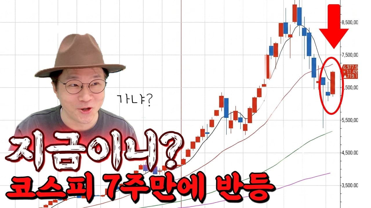 찐반등인가, 훼이크인가