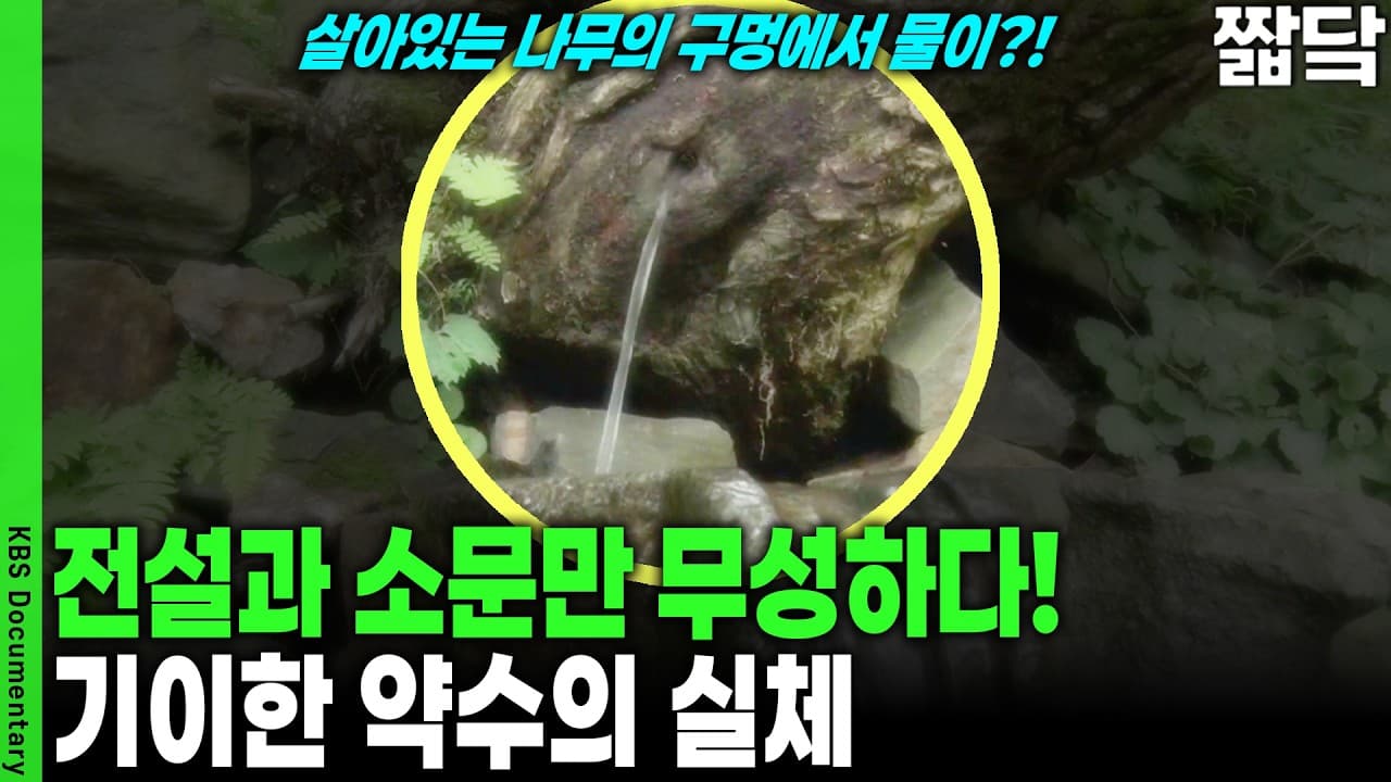 살아있는 나무에서 물이 쏟아진다? 의사들도 고개 저은 기적, 기이한 약수의 실체