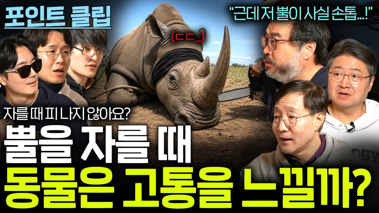동물의 뿔을 잘라버리면 동물은 고통을 느낄까? (뿔의 성질...?)