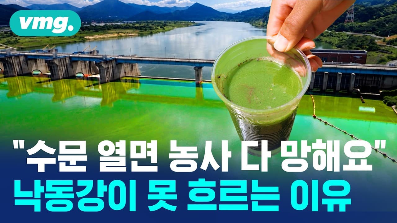 수문 열면 농사가 위험, 닫으면 녹조"... 강을 둘러싼 딜레마, 어떻게 해야 할까 / 비디오머그