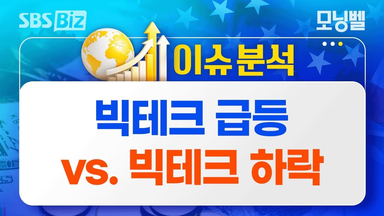 [이슈분석] 빅테크 급등 vs. 빅테크 하락