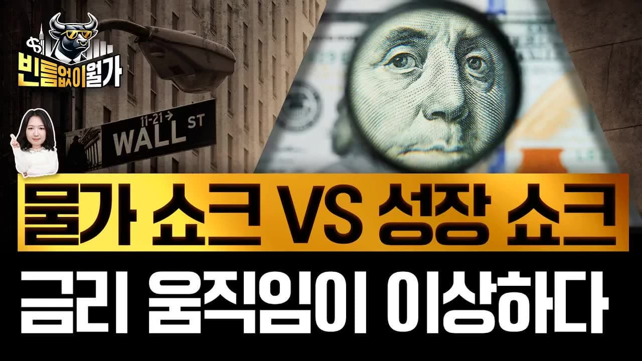 주식·국채의 불안한 동행..증시보다 무서운 금리시장 공포지수 영상 미리보기 썸네일