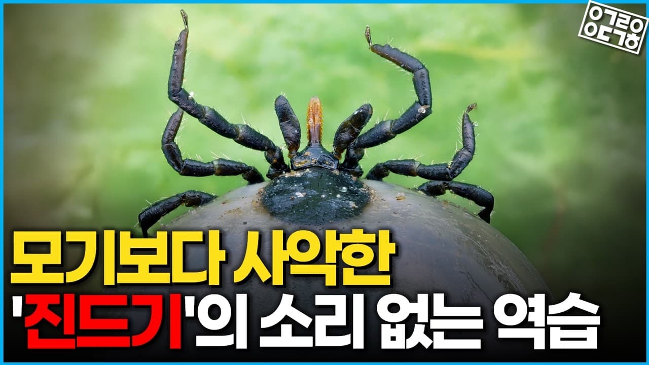 눈이 없는데 어떻게 인간만 골라 탈까? 진드기의 히치하이킹 비결 (갈로아)