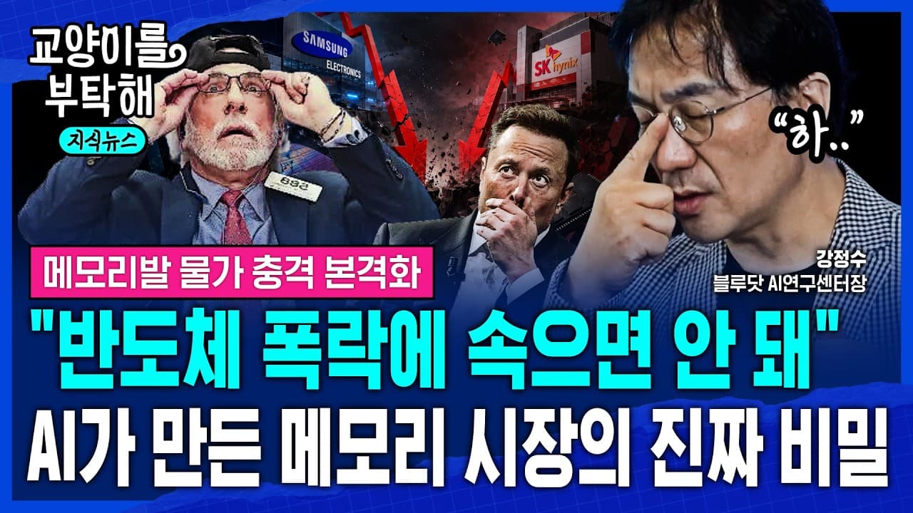 [지식뉴스] "반도체 폭락에 속으면 안 돼"…이제 사이클은 끝났습니다, AI가 만든 메모리 시장의 진짜 비밀 (ft.강정수 블루닷AI연구소) / 교양이를 부탁해