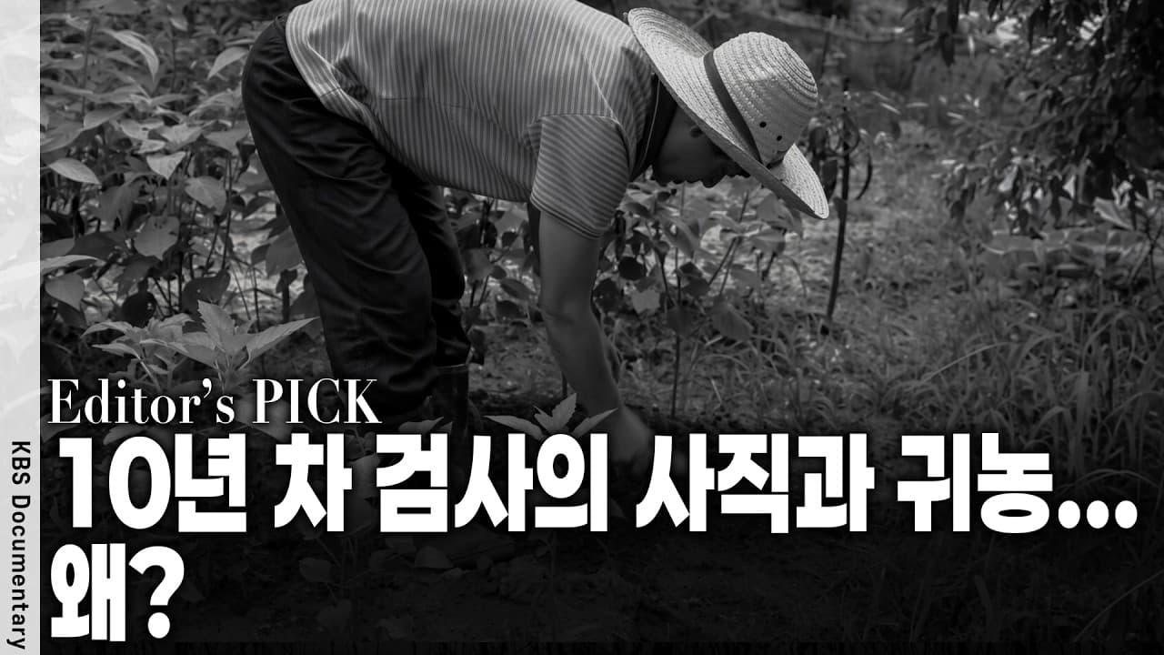 월 소득 430만 원과 680만 원의 행복도가 똑같다? 통계로 밝혀진 ''돈의 진실''