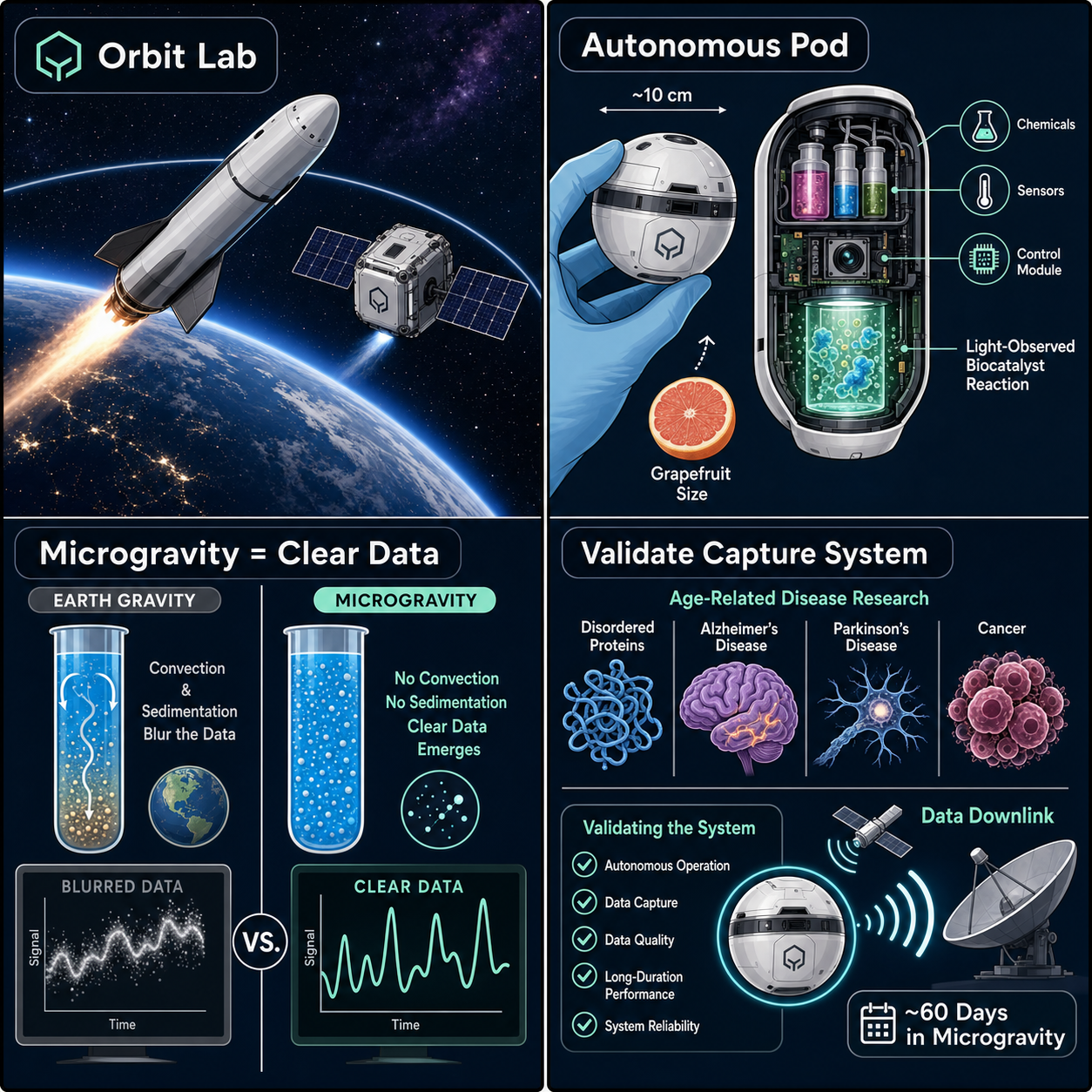 British Space Startup Launches Longevity Lab Into Orbit 내용을 설명하는 본문 이미지
