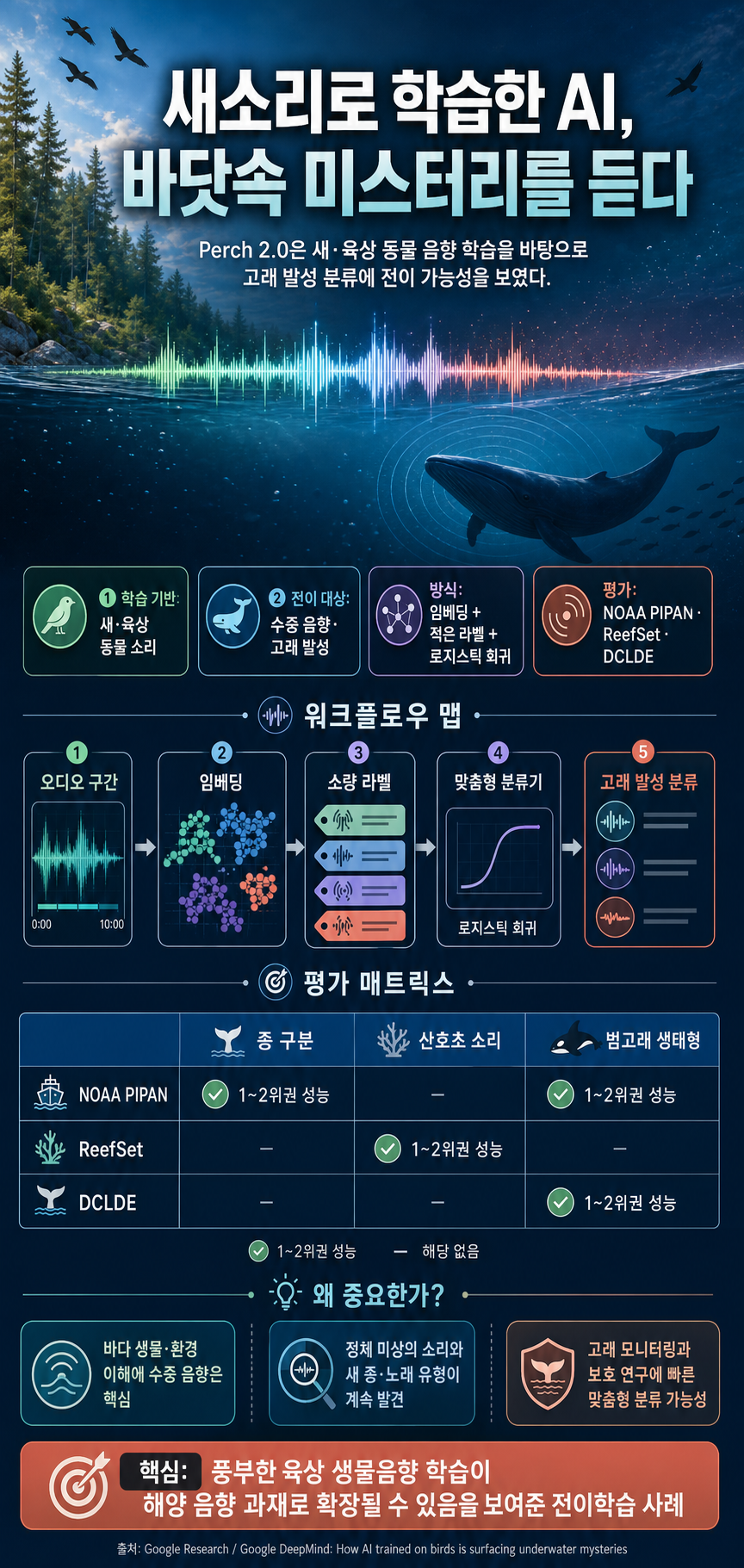How AI trained on birds is surfacing underwater mysteries 내용을 설명하는 본문 이미지