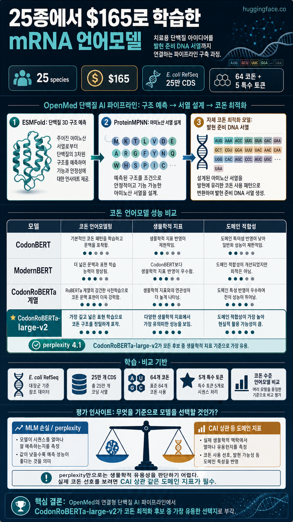 Training mRNA Language Models Across 25 Species for $165 내용을 설명하는 본문 이미지