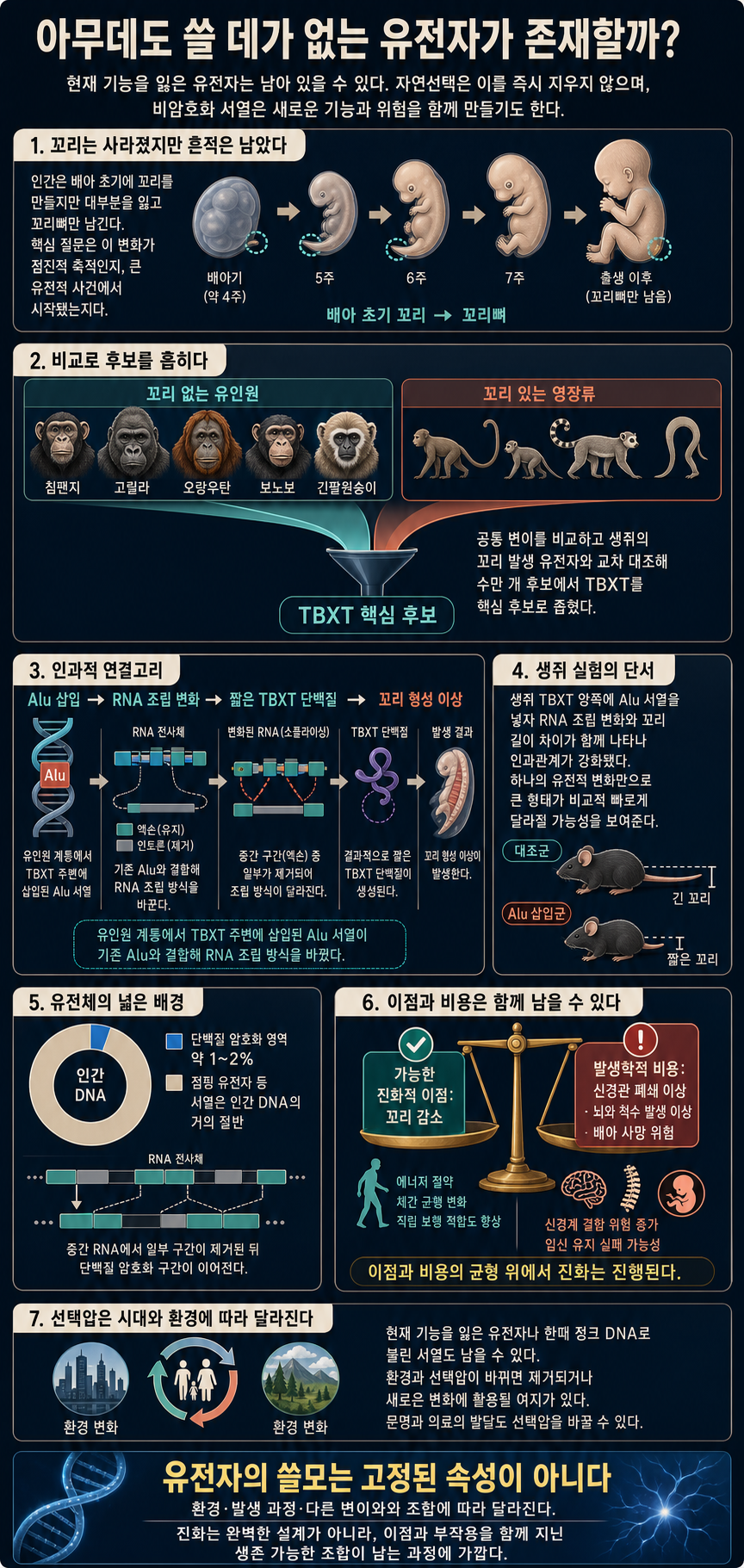아무데도 쓸 데가 없는 유전자가 존재할까? (퇴화되지 않은 이유...) 내용을 설명하는 본문 이미지