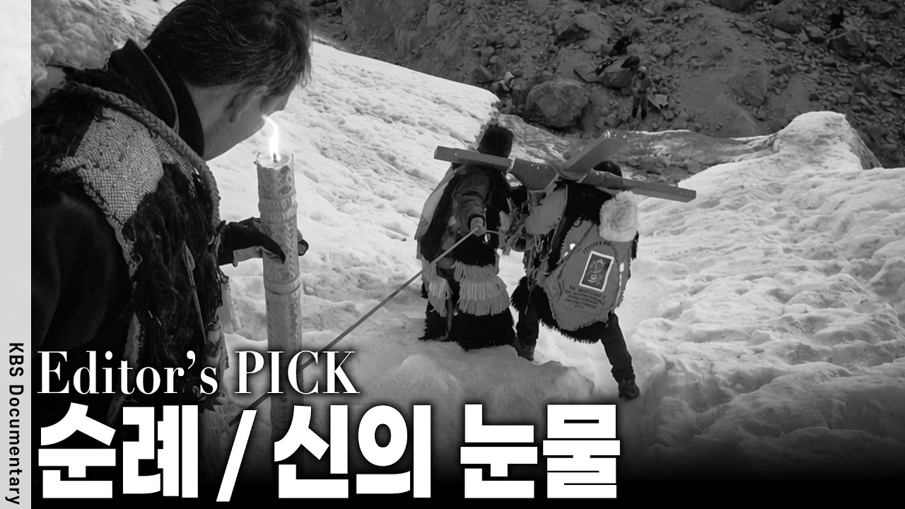 산소 부족... 나귀마저 쓰러지는 해발 5,200m 안데스 만년설, 이들이 한겨울에 지옥 같은 고행길을 자처하는 이유 영상 미리보기 썸네일