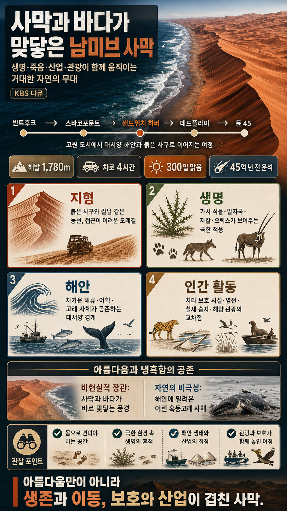 사막과 바다가 만나는 비현실적인 풍경이.. 세상에서 가장 아름다운 사막의 정체 내용을 설명하는 본문 이미지