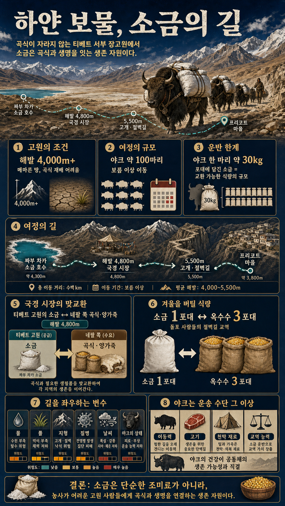 곡식이 자라지 않는 땅, 그들이 ''하얀 보물''을 찾아 야크 100마리와 떠나는 이유 내용을 설명하는 본문 이미지