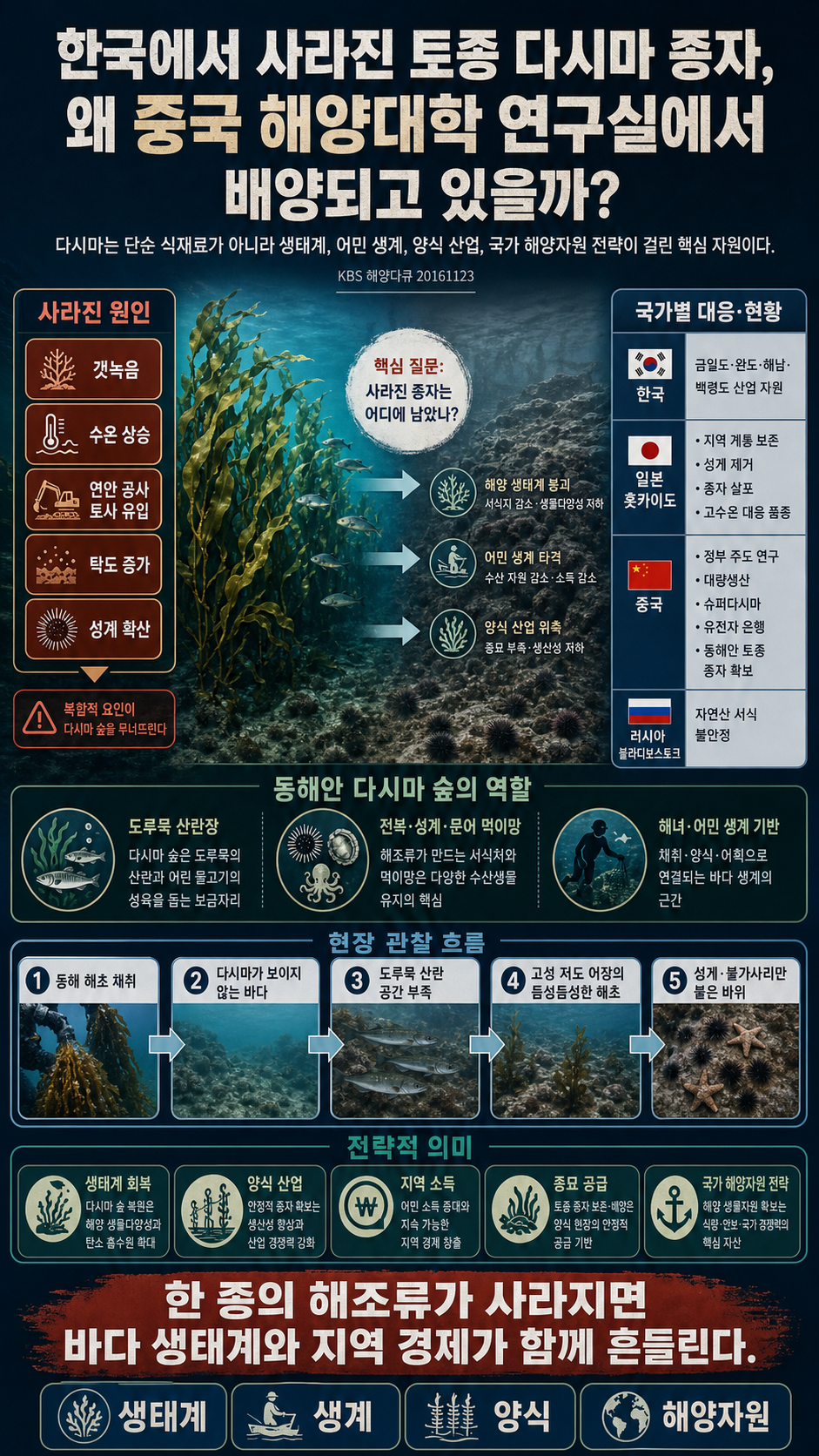 한국에서 사라진 토종 다시마 종자, 왜 중국 해양대학 연구실에서 배양되고 있을까? 내용을 설명하는 본문 이미지