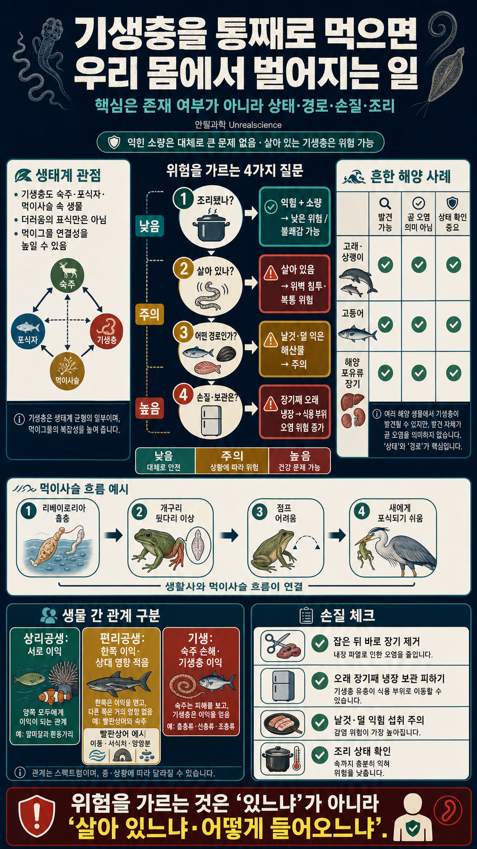 기생충을 통째로 먹으면 우리 몸에서 벌어지는 돋는 일 내용을 설명하는 본문 이미지