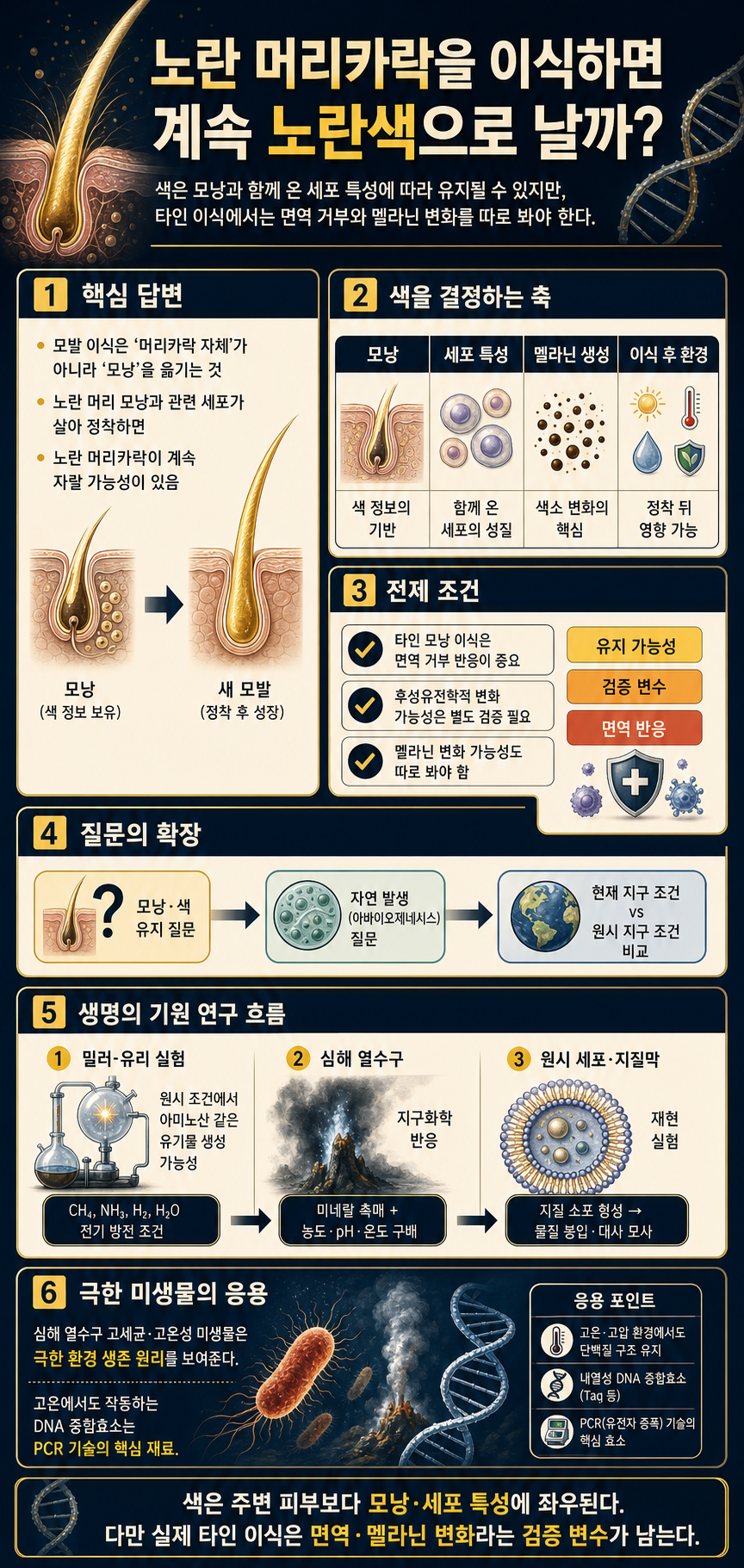 노란 머리카락을 이식하면 계속 노란색으로 날까? 내용을 설명하는 본문 이미지